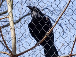 Tiergarten Schönbrunn am 23.03.2023